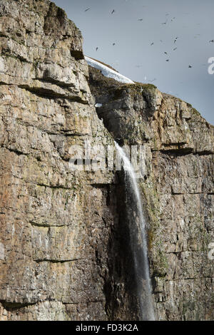 Svalbard, Bjørnøya, Bäreninsel, Wasserfall, steilen Klippen hinunter laufen. Stockfoto