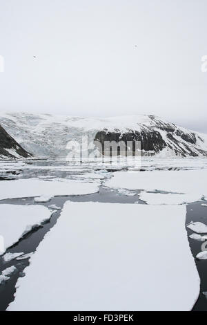 Svalbard, Spitzbergen, Alkefjellet. Gletscher, Felsen und Meer Eis. Stockfoto