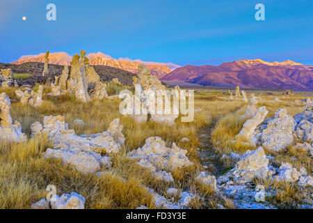 Kalktuff-Formationen am Ufer des Mono Lake bei Sonnenaufgang mit Mond, California Stockfoto