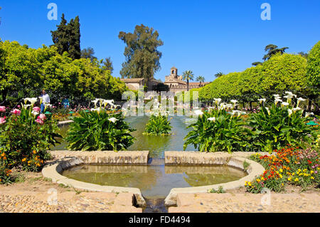 Die Gärten des Alcazar der katholischen Könige, Cordoba. Andalusien, Spanien Stockfoto