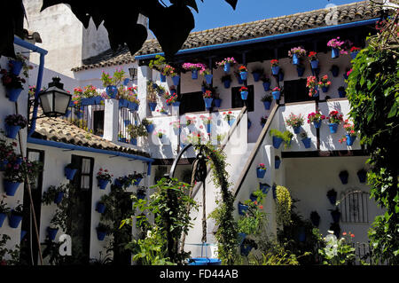 Typische Hof in San Basilio Quartal ´ La Judería´ (Jüdisches Viertel), Córdoba. Andalusien, Spanien Stockfoto