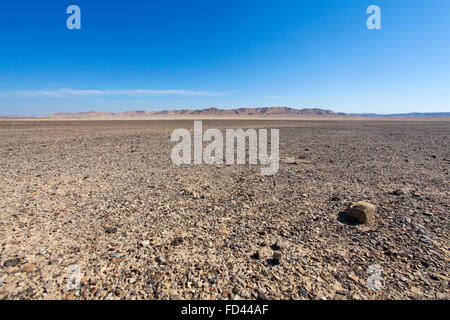 Israel, Negev-Wüste Landschaft. Feld Bulbus Felsen vor Mount Zin Stockfoto