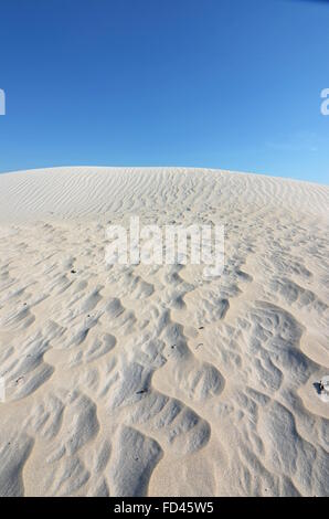 Weißen Sanddünen im Nambung National Park, Western Australia Stockfoto