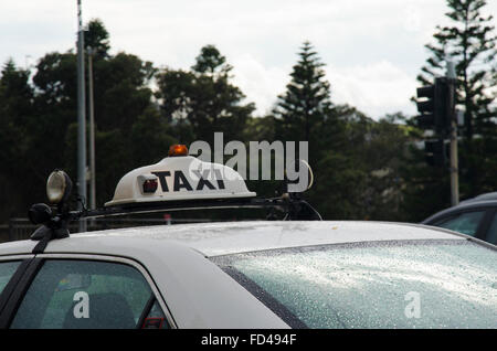 Von hinten betrachtet, nur das Taxistand und das Dach sind sichtbar, steht ein nasses Taxi in Sydney, das im Regen auf Fahrgeld wartet Stockfoto