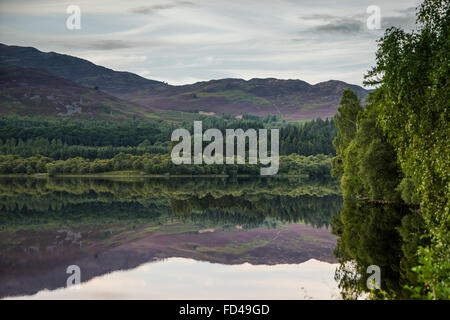 Reflexionen im Loch Alvie Stockfoto