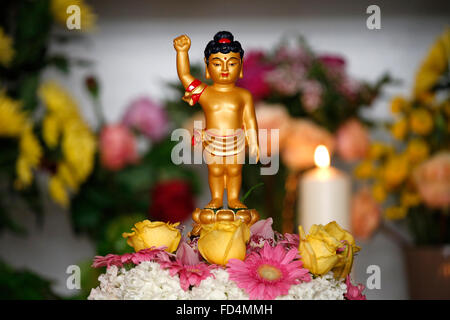 Wesak (Buddhas Geburtstag, Erwachens & Nirvana) Feier im großen buddhistischen Tempel (Grande Pagode de Vincennes). Stockfoto