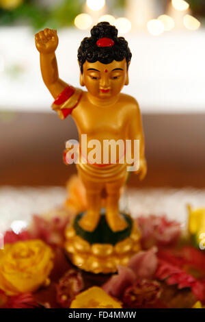 Wesak (Buddhas Geburtstag, Erwachens & Nirvana) Feier im großen buddhistischen Tempel (Grande Pagode de Vincennes). Stockfoto