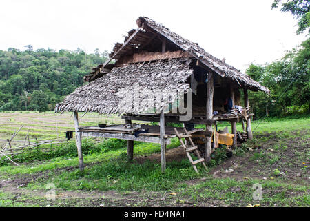 Hütte im Reisfeld, Landschaft in Thailand Stockfoto