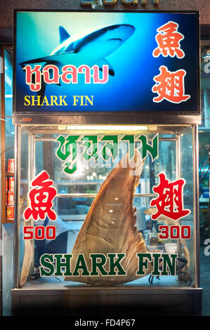 Haifischflosse auf dem Display bei Yaowarat Nacht Markt, Chinatown, Bangkok Stockfoto
