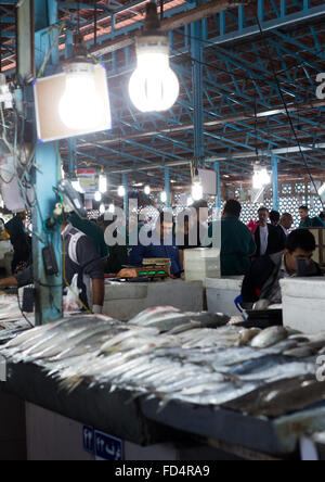 Fischmarkt, Hormozgan, Bandar Abbas, Iran Stockfoto