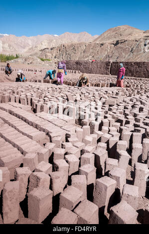 Arbeiter im Manuifacture für die Herstellung von Ton oder Schlamm Ziegel, Ladakh, Indien Stockfoto