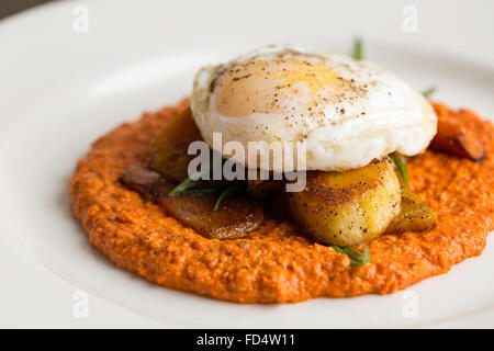 Gourmetmenü mit Ei, Jakobsmuscheln und Püree squash Stockfoto