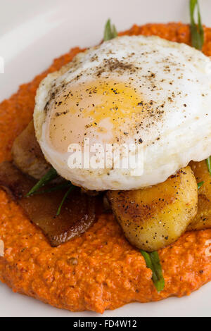 Gourmetmenü mit Ei, Jakobsmuscheln und Püree squash Stockfoto