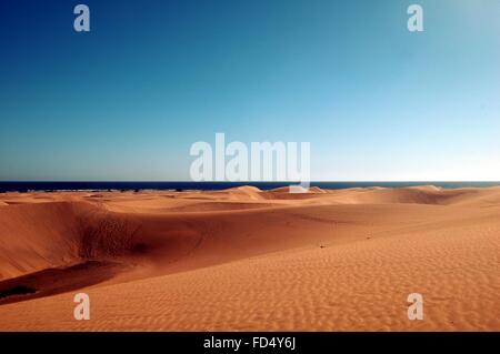 Schöne Dünen in Maspalomas, Gran Canaria 2016 Stockfoto