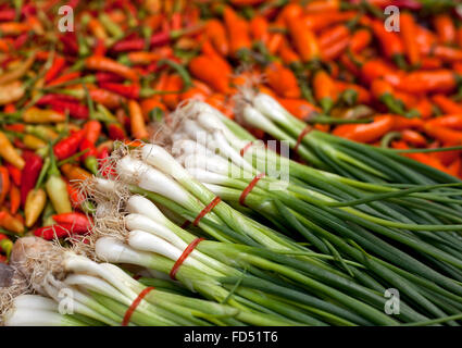 Fülle von frischen Frühlingszwiebeln und Piri Piri chili's. Stockfoto