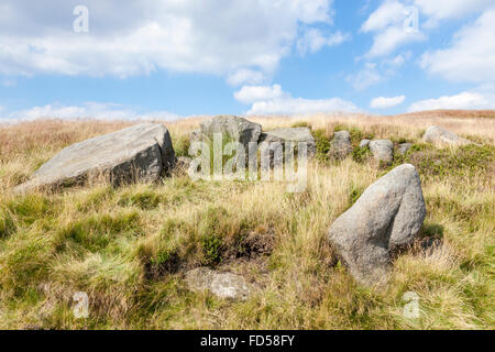 Gritstone Felsen und Gras auf Moorland, Kinder Scout, Derbyshire Peak District National Park, England, Großbritannien Stockfoto