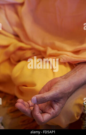 Durga Puja-Feier in Paris. Stockfoto