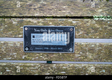 Eine Plakette auf einer Holzbank, als eine Hommage und eine Warnung an andere über die Gefahren von Drogen an der Universität von Falmouth Stockfoto