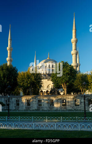 Blaue Moschee bei Sonnenaufgang, Istanbul, Türkei. Die größte Moschee in Istanbul von Sultan Ahmed (Osmanisches Reich) Stockfoto