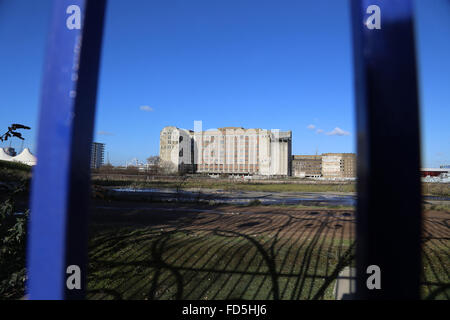 Millennium Mills Royal Victoria Dock Silvertown London Blume Mühle verfallenen zertrümmerte Fenster Blau Himmel Sanierung blauen Tore Stockfoto