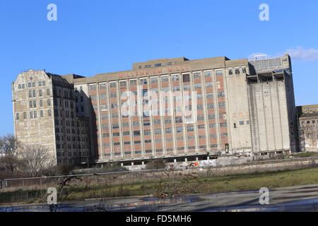 Millennium Mills Royal Victoria Dock Silvertown London Blume Mühle verfallenen zertrümmerte Fenster Blau Himmel Sanierung blauen Tore Stockfoto