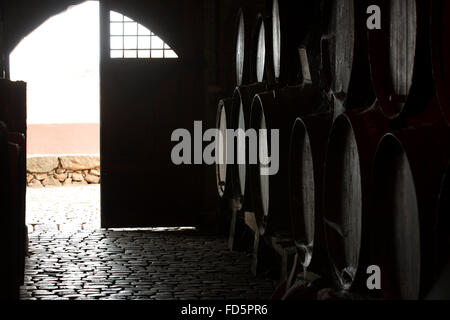 Die Kellertür von Bogedas Monje in Santa Cruz De Tenerife in Teneriffa, Spanien. Wein reift in Holzfässern im Keller. Stockfoto