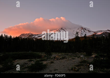 CA02625-00... Kalifornien, USA - Sonnenuntergang am Mount Shasta von Bunny flach in der Shasta - Dreiheit National Forest. Stockfoto