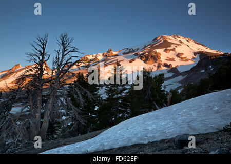 CA02644-00... Kalifornien - Sonnenaufgang am Mount Shasta aus der Clear Creek Trail im Mount Shasta Wildnisgebiet. Stockfoto