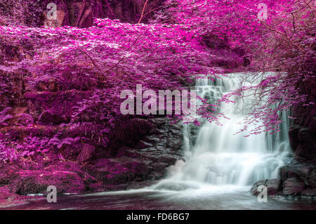 Atemberaubende alternativen Realität farbige Fantasielandschaft Wald und Fluss Stockfoto