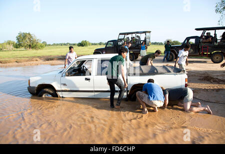 Safari 4 x 4 stecken im Schlamm im Yala National Park Stockfoto