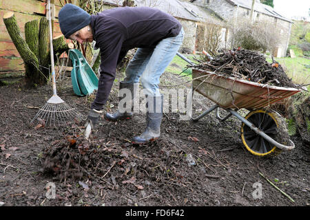 Ältere ältere ältere aktive Frau 70er Jahre, die den Rechen Garten Garten in Vorbereitung auf den Frühling im Januar Winter Carmarthenshire Wales UK KATHY DEWITT reinigt Stockfoto