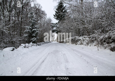 Verschneite Landstraße durch einen Wald mit Schnee in den Bäumen Stockfoto