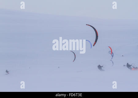 März 2015, Berlevåg, Norwegen: Wettbewerber zu Beginn des Varanger Arktis Kite Enduro. Stockfoto