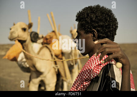 Junge Nomaden Afar Mann mit Dromedaren (Camelus Dromedarius) in der Danakil Depression, Afar-Region, Äthiopien Stockfoto