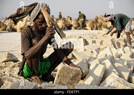 Afrikanische Arbeiter, die Gewinnung von Salz aus See Assale, Danakil Depression, Afar-Region, Äthiopien Stockfoto