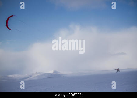 März 2015, Berlevåg, Norwegen: Wettbewerber zu Beginn des Varanger Arktis Kite Enduro. Stockfoto