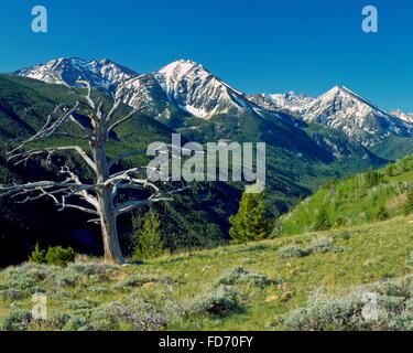 Spanisch-Gipfel der Madison über South Gabel spanischen Nebenflußsenke in der lee Metcalf Wildnis in der Nähe von big Sky in montana Stockfoto