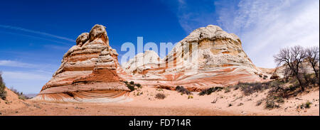 Szene aus dem White Pocket geologischen Vermillion Cliffs National Monument, Arizona. Stockfoto