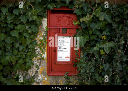 Efeu wächst im Laufe einer Wand neben einem Briefkasten in der Ortschaft Bohortha in Cornwall. Foto von John Voos Stockfoto