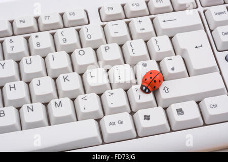 Marienkäfer / Ladybug auf PC-Tastatur - als visuelle Metapher für den Begriff "Computervirus" oder virale / System "Infektion". Stockfoto