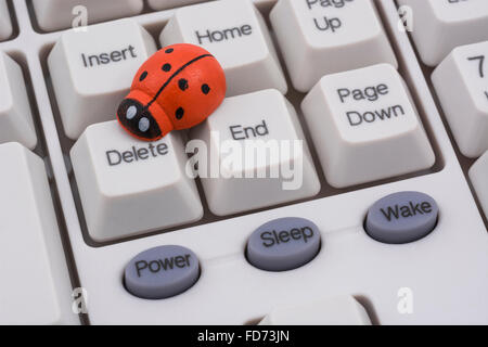 Marienkäfer / Ladybug auf PC-Tastatur - als visuelle Metapher für den Begriff "Computervirus" oder virale / System "Infektion". Stockfoto