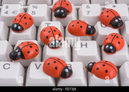 Marienkäfer / Marienkäfer auf PC-Tastatur - als visuelle Metapher für den Begriff "Computervirus" oder virale / System "Infektion". Stockfoto