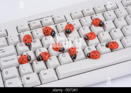 Marienkäfer / Marienkäfer auf PC-Tastatur - als visuelle Metapher für den Begriff "Computervirus" oder virale / System "Infektion". Stockfoto