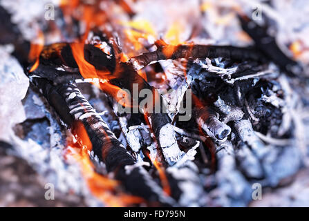 Schönen brennenden Lagerfeuer im Camp vorbereiten Holzkohle Grill, natürlichen Brennstoff, abstrakte Feuer natürlichen Hintergrund Stockfoto