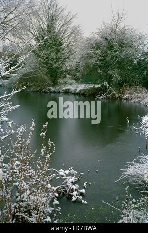 Leichten Abstauben von Schnee auf den Bäumen rund um gefrorene Dorfteich in Cambridgeshire Stockfoto