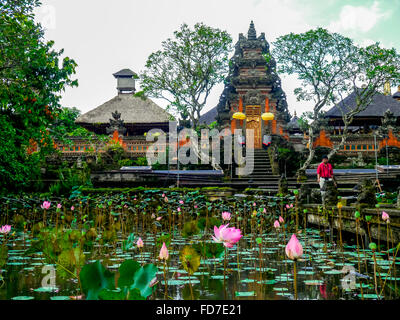 Lotusblüte, Lotusblume (Nelumbo Nucifera), Tempel Pura Taman Saraswati, Ubud, Bali, Indonesien, Asien, Stockfoto