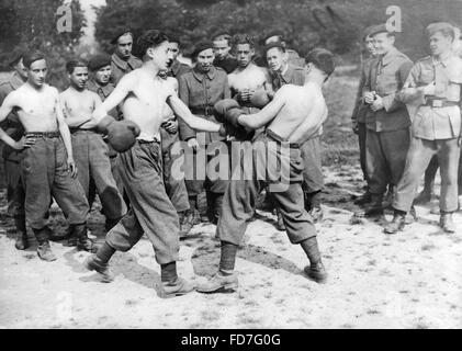 Französische freiwillige unter deutscher Führung beim Boxen, 1944 Stockfoto