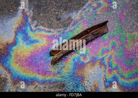 Farben des Regenbogens in einem Ölfilm auf nassen Beton. Stockfoto