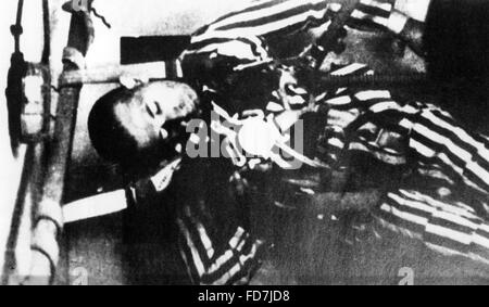 Medizinische Experimente an Häftlingen im KZ Dachau Stockfoto