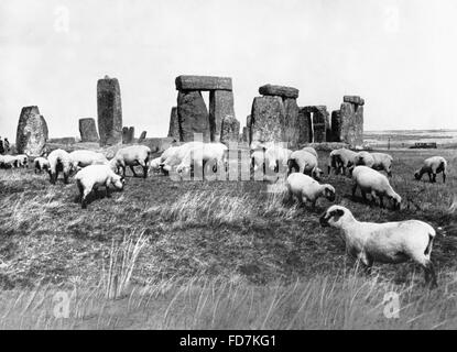 Schafe in Stonehenge in England, 1933 Stockfoto